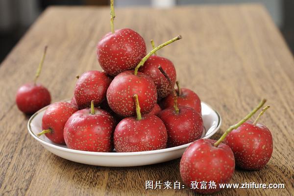 大果山楂圖片大全