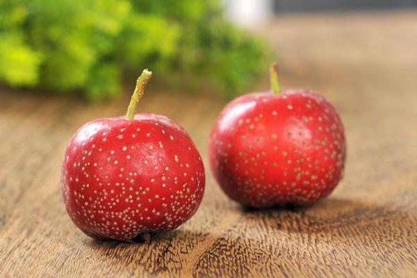 大果山楂圖片大全