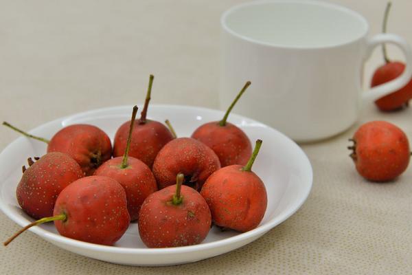 大果山楂圖片大全