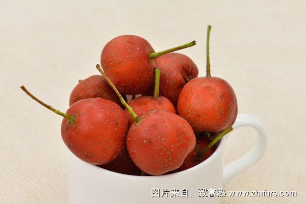 大果山楂圖片大全