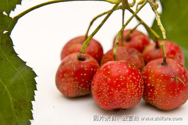 吃山楂有什么好處