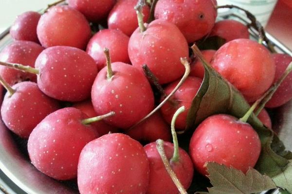 吃山楂有什么好處