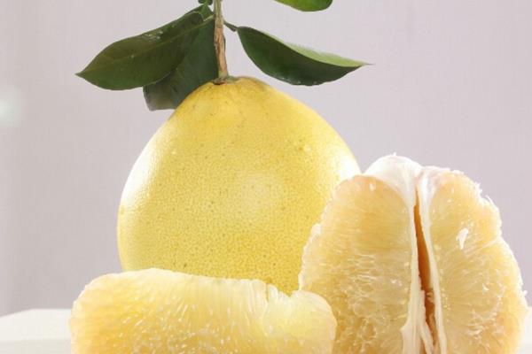 柚子圖片大全