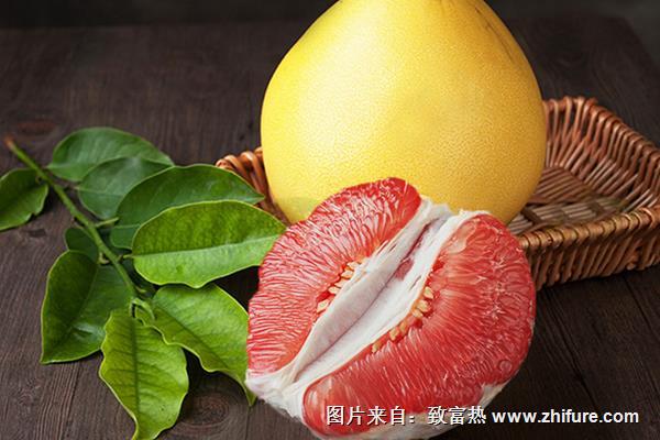 柚子是涼性還是熱性水果