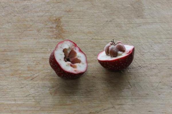 山楂籽的功效與作用