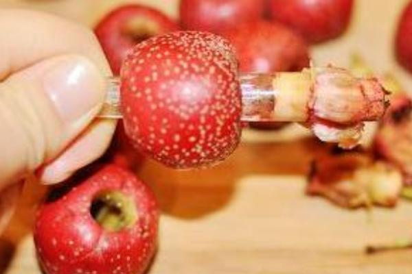 山楂籽的功效與作用