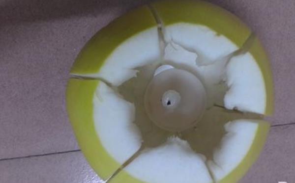 柚子燈籠手工制作方法（圖解）