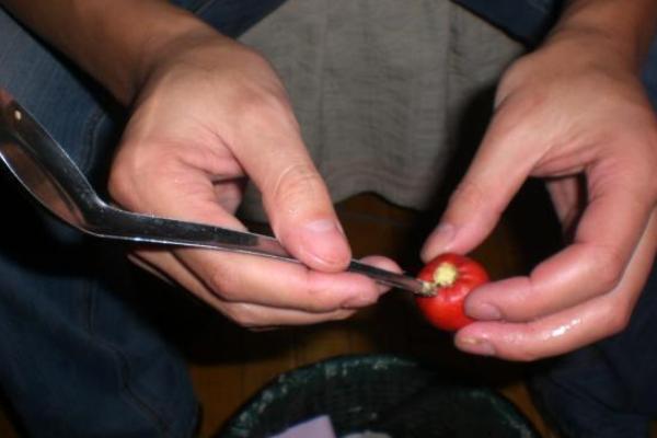 山楂籽的功效與作用