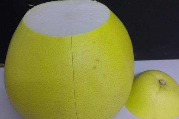 柚子燈籠手工制作方法（圖解）