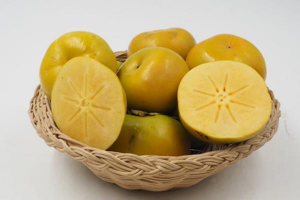 脆柿子功效與作用及禁忌