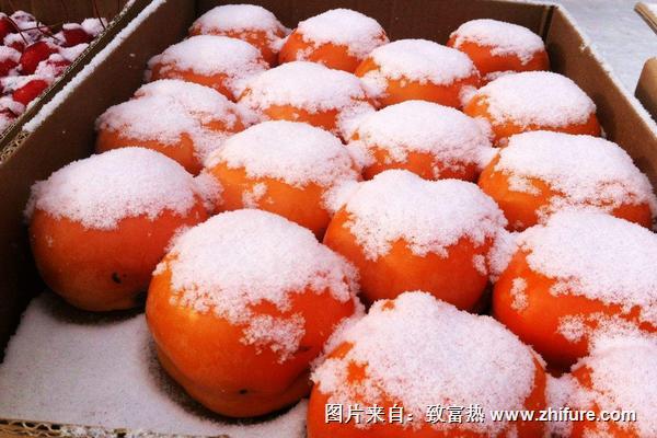 凍柿子不能和什么同食