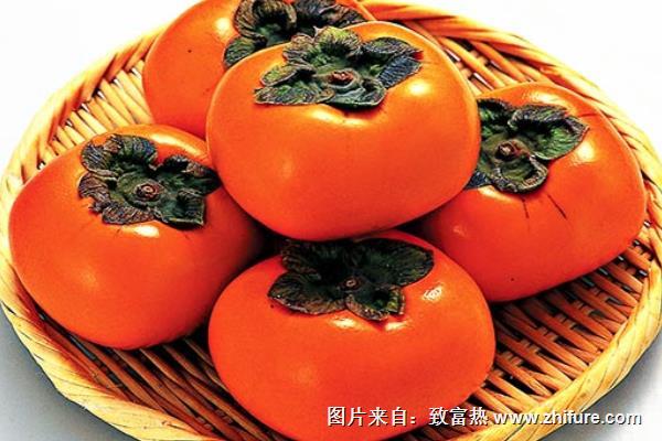 柿子的功效與作用及禁忌