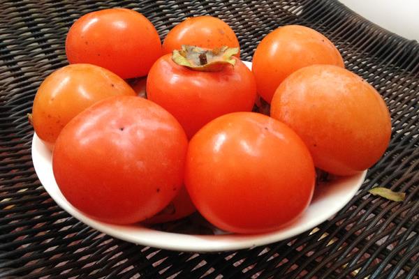 柿子的功效與作用及禁忌