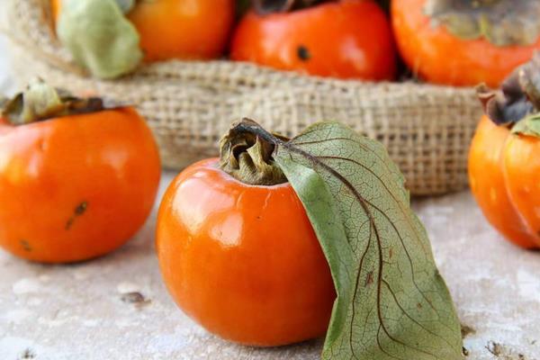 柿子的功效與作用及禁忌