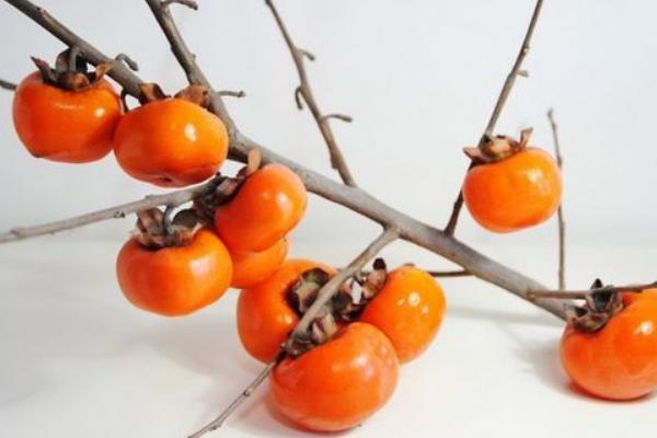 牛肉燉柿子的做法