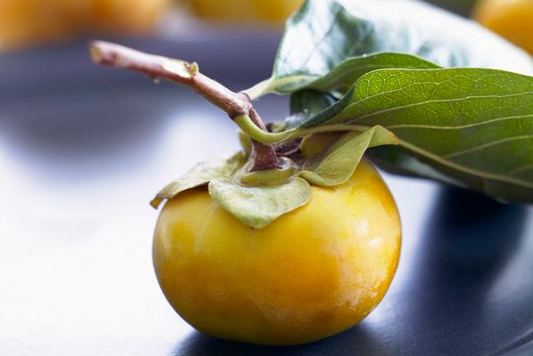 柿子葉的功效與作用及禁忌