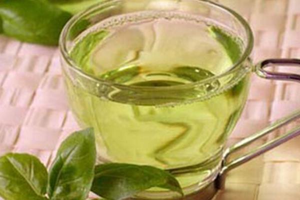 柿子葉的功效與作用及禁忌