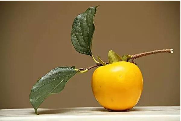 孕婦可以吃柿子嗎