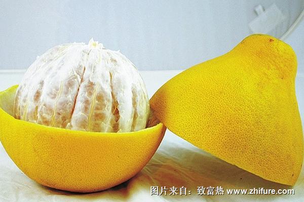 一個(gè)柚子一般有多少斤