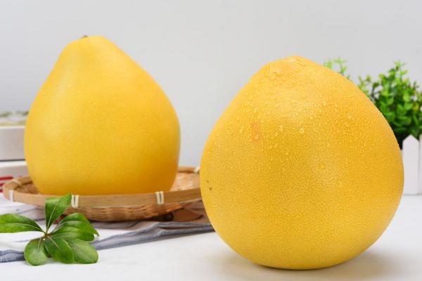 一個柚子一般有多少斤