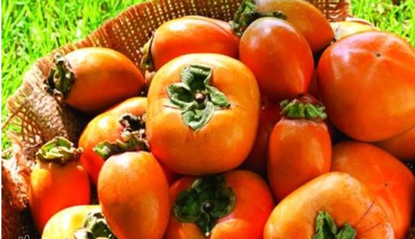 柿子和牛奶能一起吃嗎