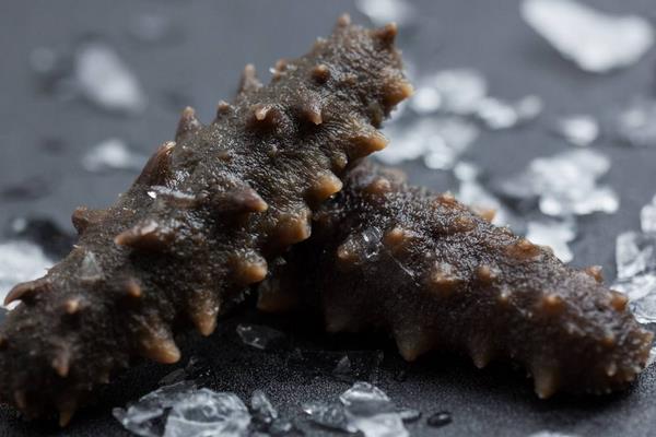 養(yǎng)一畝海參能賺多少錢?養(yǎng)海參的成本和利潤