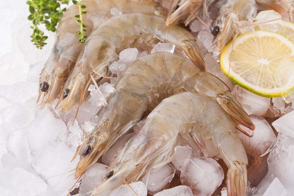 養一畝南美白對蝦能賺多少錢？養南美白對蝦的成本和利潤