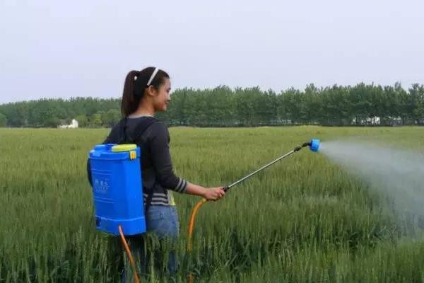 想創業不知道做什么好?來看看吧