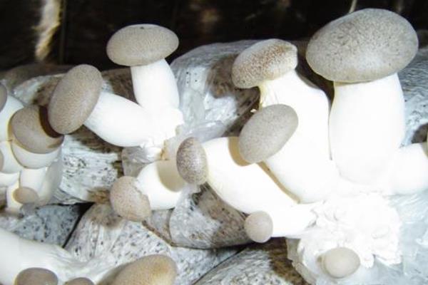 想創業不知道做什么好?來看看吧