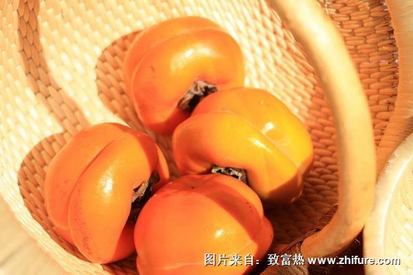 空腹可以吃柿子嗎