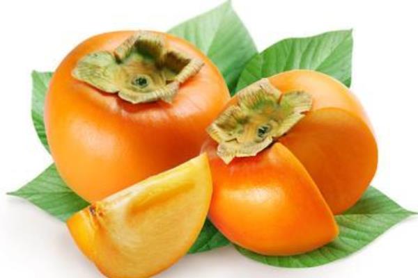 空腹可以吃柿子嗎