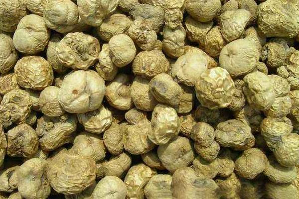 中藥市場低迷 2015元胡行情不看好 元胡難獨善其身