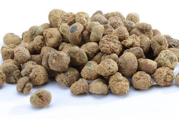 中藥市場低迷 2015元胡行情不看好 元胡難獨善其身