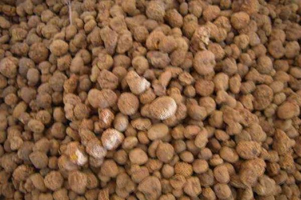 中藥市場低迷 2015元胡行情不看好 元胡難獨善其身