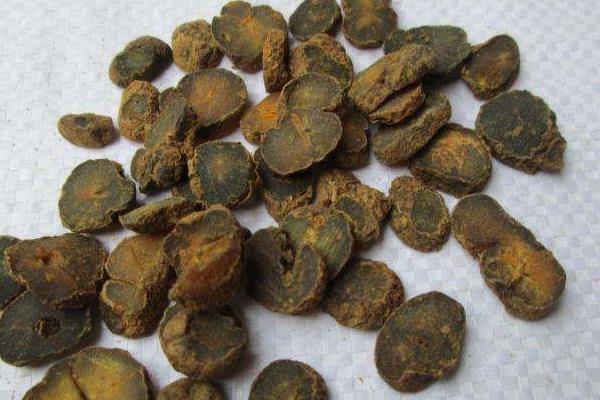 中藥市場低迷 2015元胡行情不看好 元胡難獨善其身