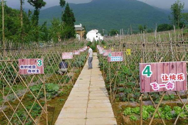 “開心農場”現實版創業模式致富