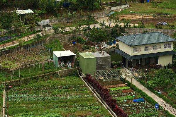 “開心農場”現實版創業模式致富