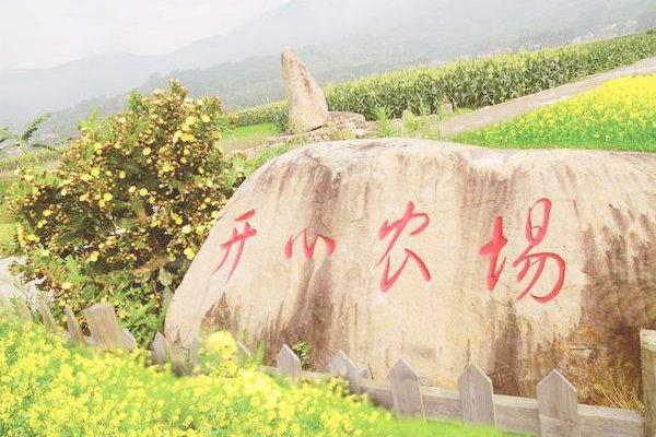 “開心農場”現實版創業模式致富