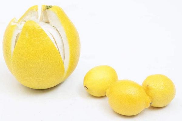 吃柚子的好處與壞處分別是什么