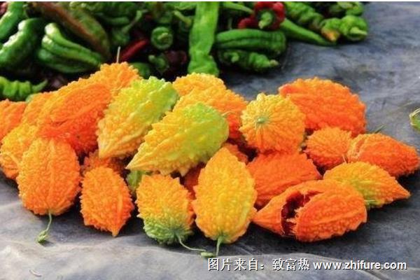 癩葡萄價格多少錢一斤