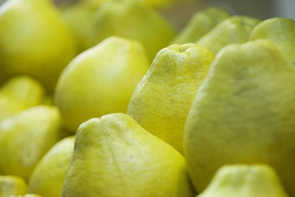 吃柚子的好處與壞處分別是什么