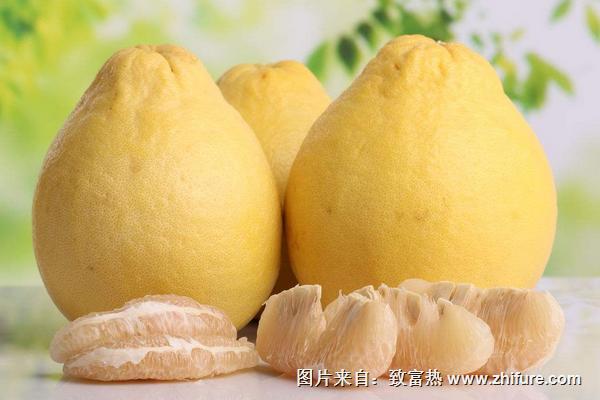 吃柚子能減肥嗎