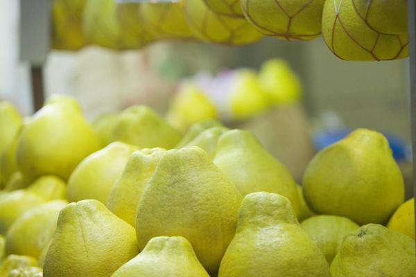 吃柚子能減肥嗎