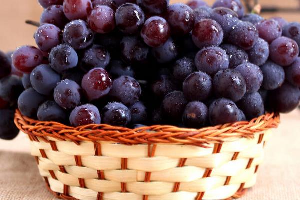 玫瑰香葡萄價(jià)格多少錢一斤