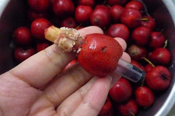 山楂核手串價格多少錢一串