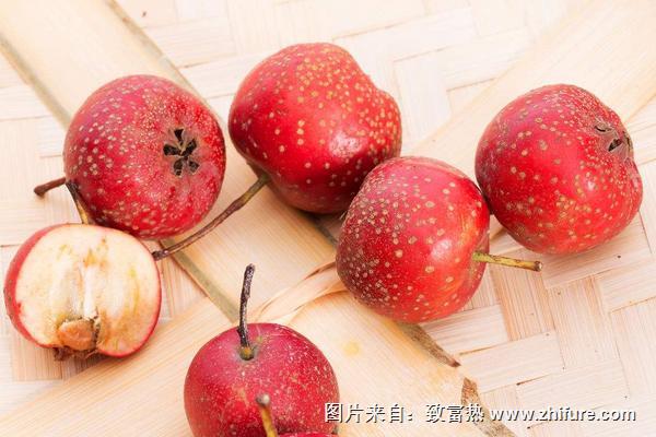 山楂熱量是多少