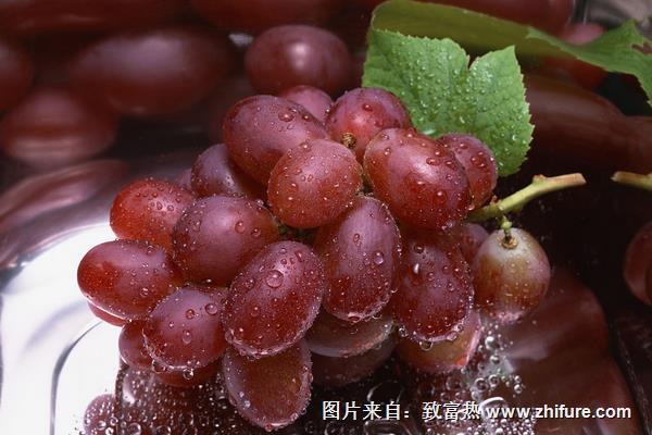 玫瑰香葡萄價(jià)格多少錢一斤