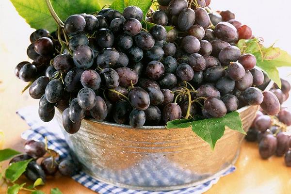 玫瑰香葡萄價(jià)格多少錢一斤