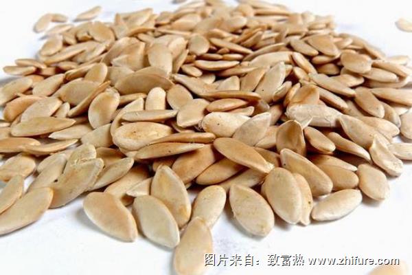 甜瓜種子價格多少錢一斤