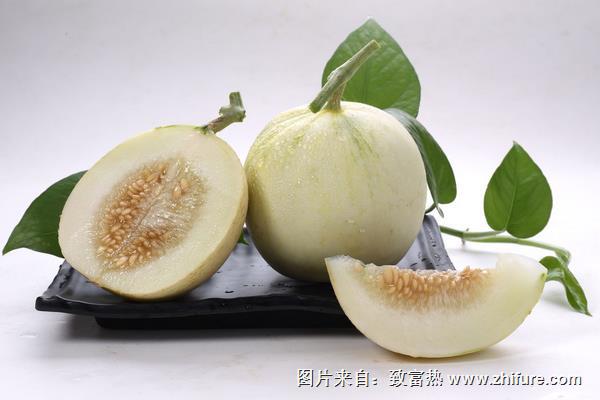 白香瓜科學(xué)種植技術(shù)